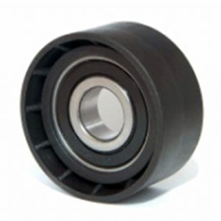 BM.206 | Alternatör Gergi Rulmanı | | BMW