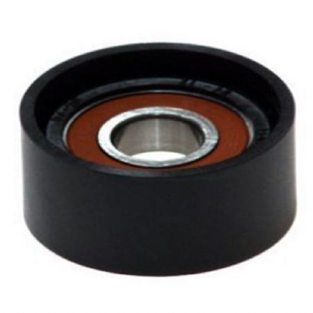 BM.209 | Alternatör Gergi Rulmanı | | BMW