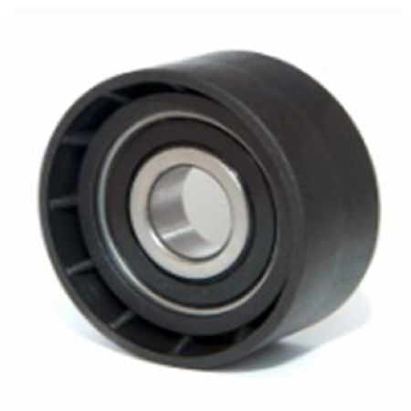 PE.506 | Alternatör Gergi Rulmanı | | Peugeot