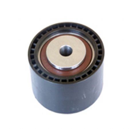 PE.510 | Alternatör Gergi Rulmanı | | Peugeot