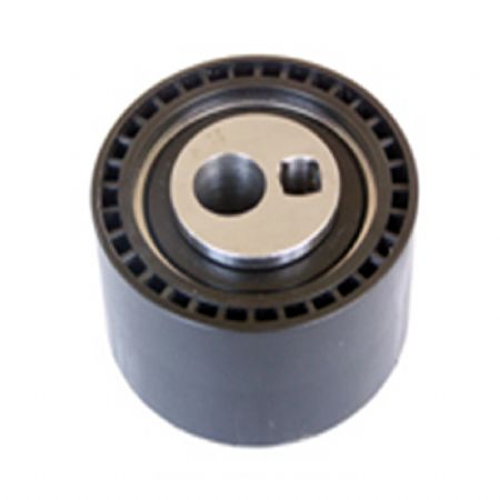 PE.516 | Alternatör Gergi Rulmanı | | Peugeot