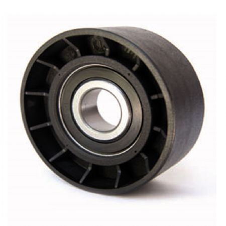 PE.520 | Alternatör Gergi Rulmanı | | Peugeot