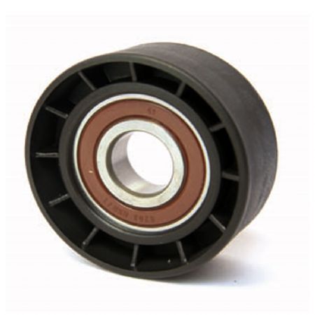 RN.402 | Alternatör Gergi Rulmanı | | Renault