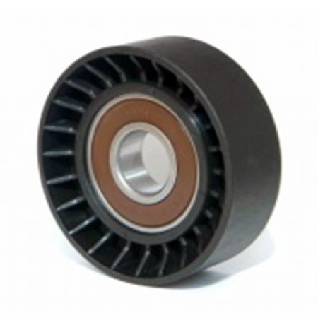 RN.405 | Alternatör Gergi Rulmanı | | Renault