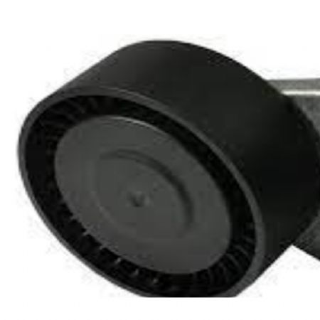 RN.407 | Alternatör Gergi Rulmanı | | Renault