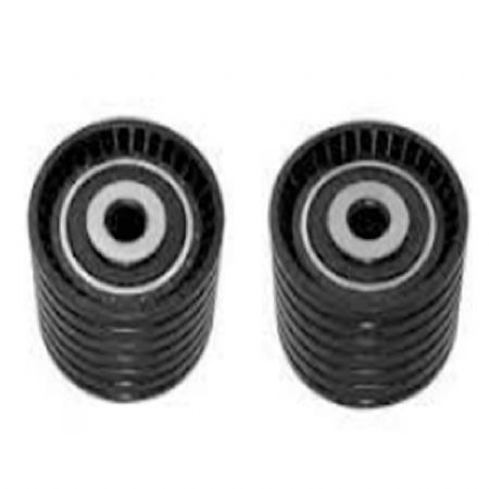 RN.419 | Alternatör Gergi Rulmanı | | Renault