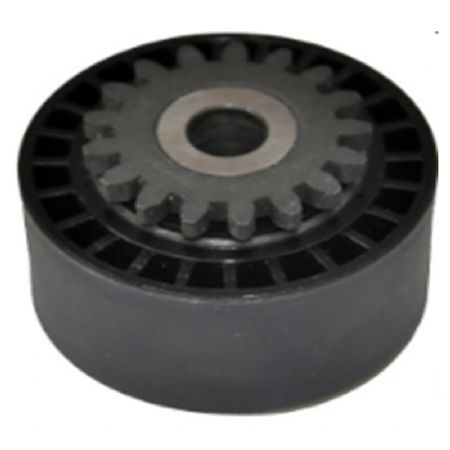 RN.428 | Alternatör Gergi Rulmanı | | Renault